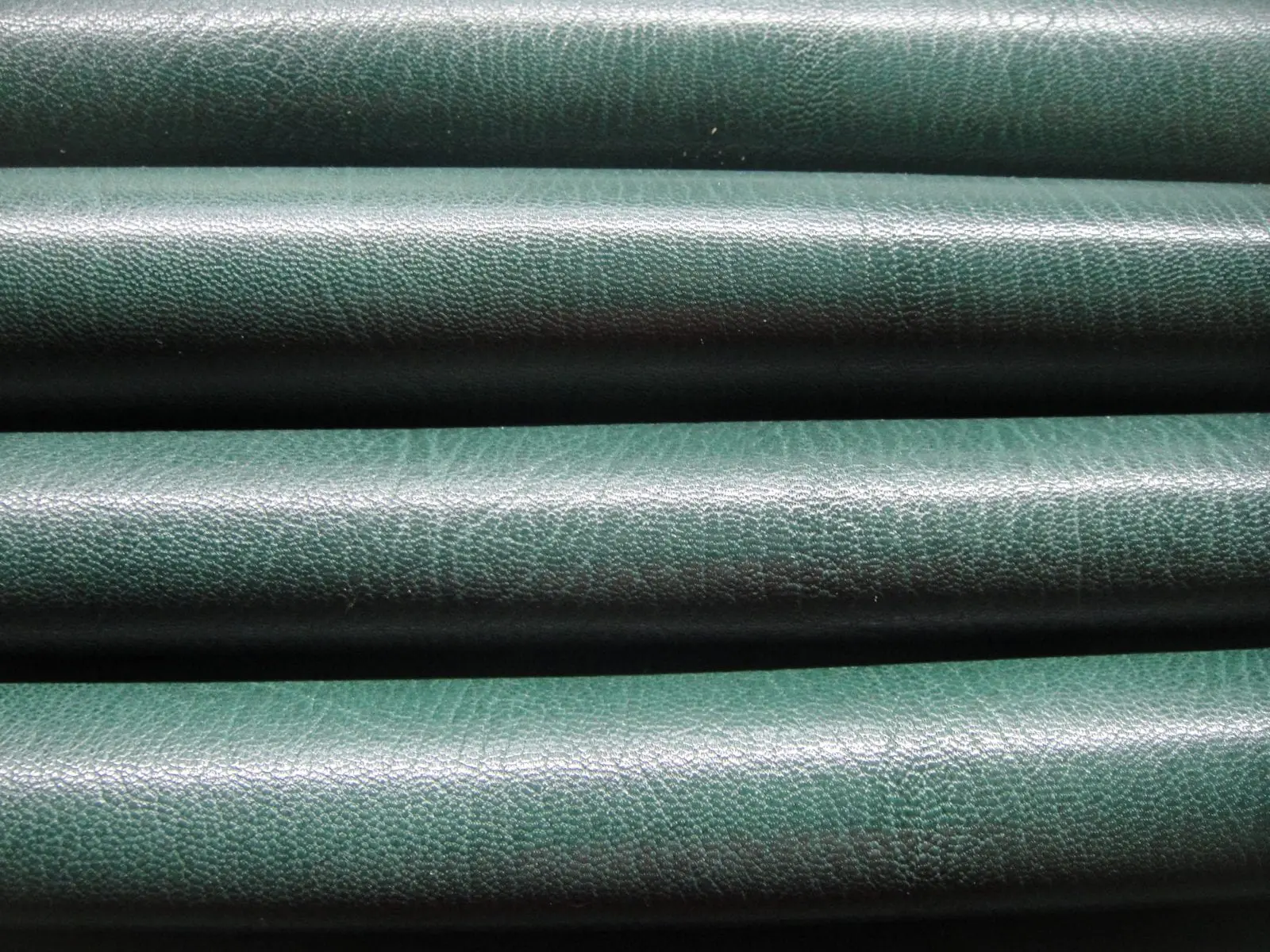 SokotoGoat_ForestGreen