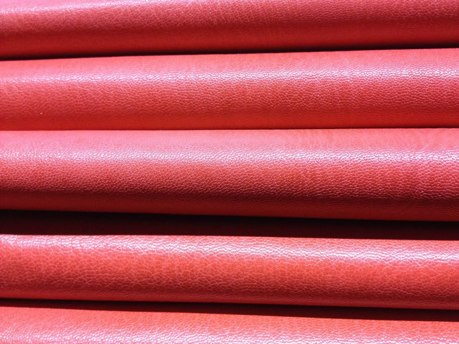 Color 100