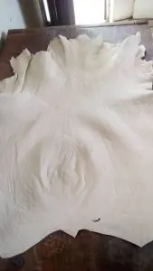 A close-up photograph of a natural goat grain. This is a typical Sokoto™ goatskin.